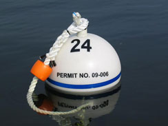 Image of mooring at Dinner Key Marina