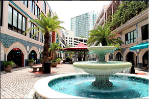 Coconut Grove - Mayfair